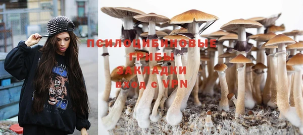 стафф Липки